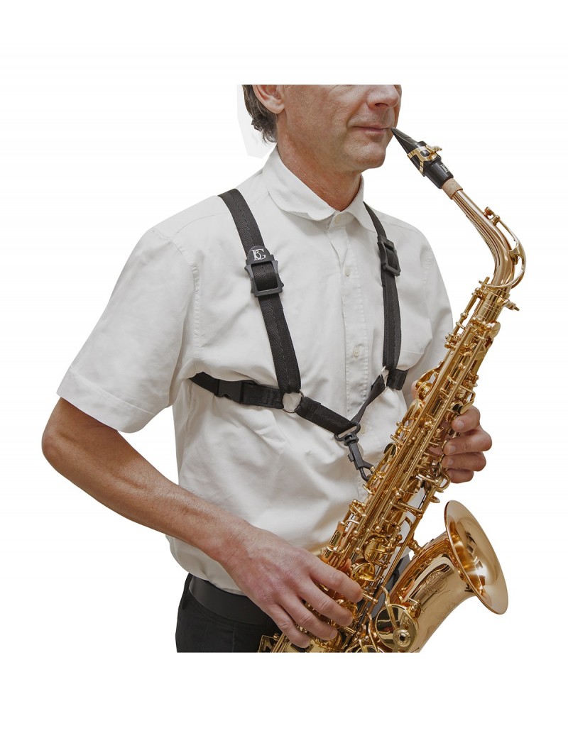 ARNES BG SAXOFON ALTO-TENOR MOD.S-40SH HOMBRE