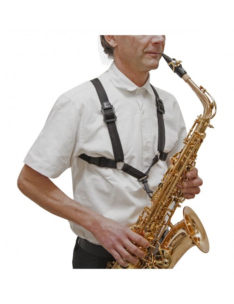 ARNES BG SAXOFON ALTO-TENOR MOD.S-40SH HOMBRE