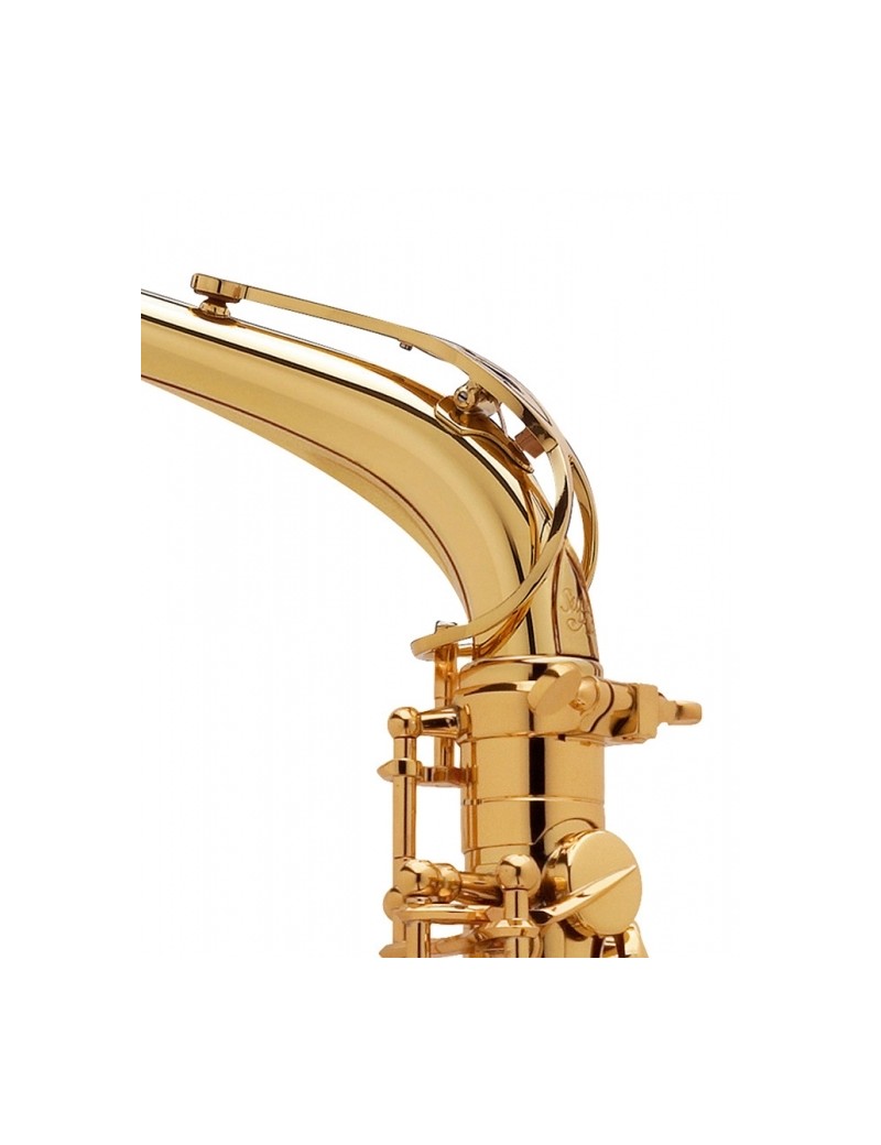 Saxo Alto Serie III JUBILE Goldmessing Grabado GG