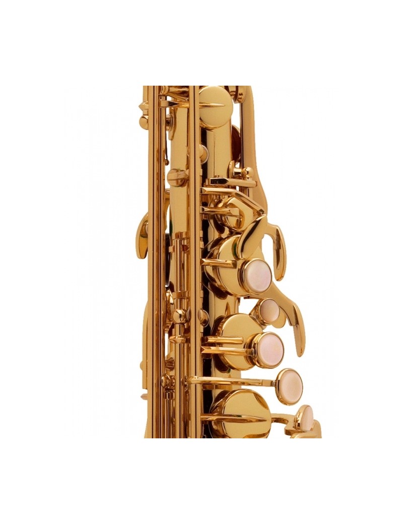 Saxo Alto Serie III JUBILE Goldmessing Grabado GG