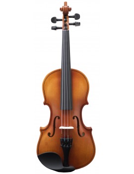 VIOLÍN AMADEUS VA101 4/4