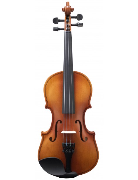 VIOLÍN AMADEUS VA101 4/4