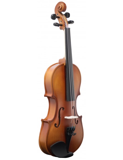 VIOLÍN AMADEUS VA101 4/4