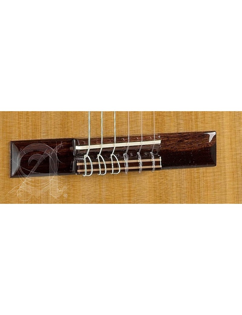 GUITARRA ALHAMBRA MOD.1C HT