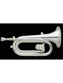 CORNETA HONSUY TRASPOSITOR DO/SIB PLATA