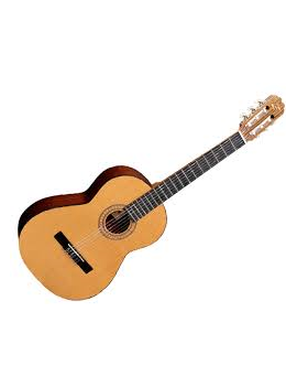 GUITARRA ADMIRA PALOMA